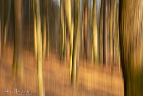 2302-8899.jpg2302-8899