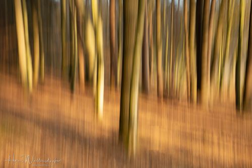 2302-8904.jpg2302-8904