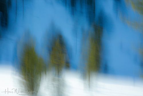 2302-9073.jpg2302-9073