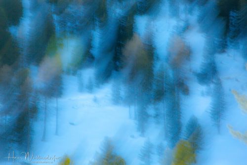 2302-9074.jpg2302-9074