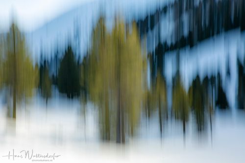 2302-9133.jpg2302-9133