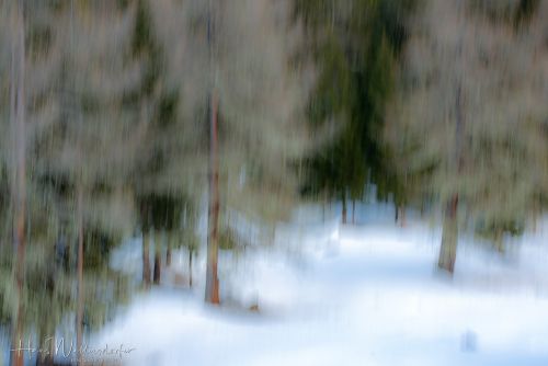 2302-9149.jpg2302-9149