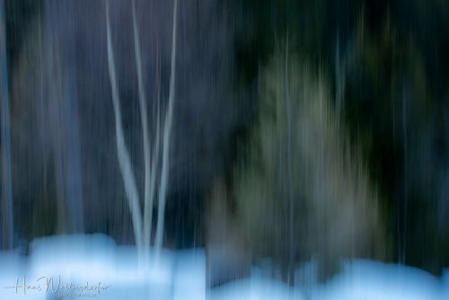 2302-9239.jpg2302-9239