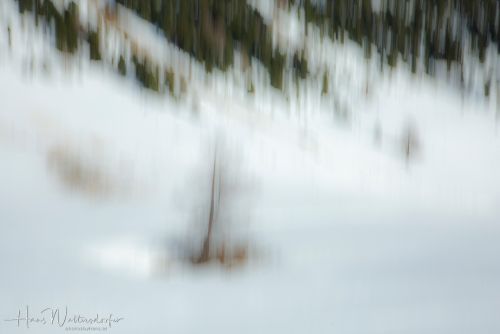 2302-9260.jpg2302-9260