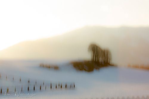 2302-9995.jpg2302-9995