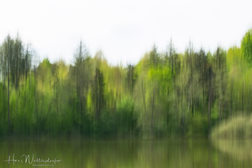 2305-2131.jpg2305-2131