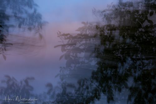 2306-5324.jpg2306-5324