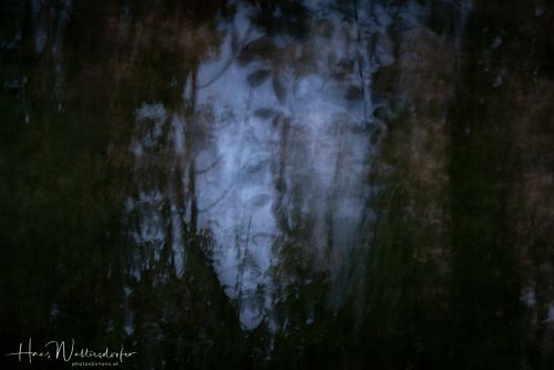 2306-5331.jpg2306-5331