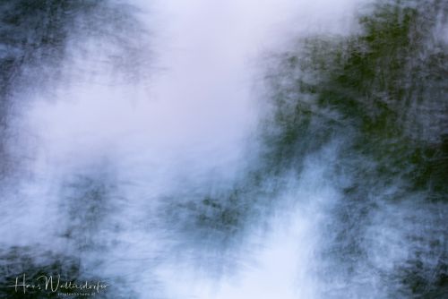 2306-5336.jpg2306-5336