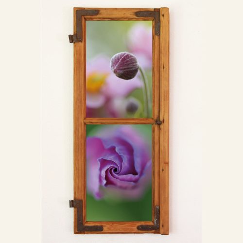 Fotofenster-216