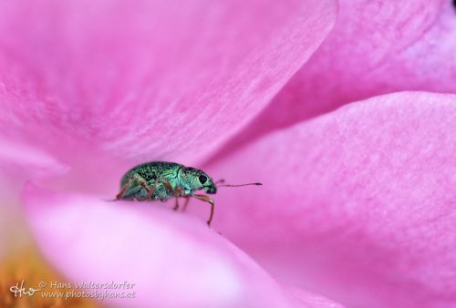 1406-4669_70_71_72_74