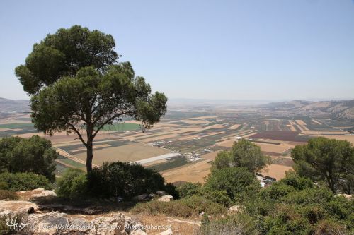1404-0995