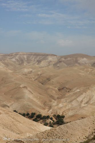 1404-9944