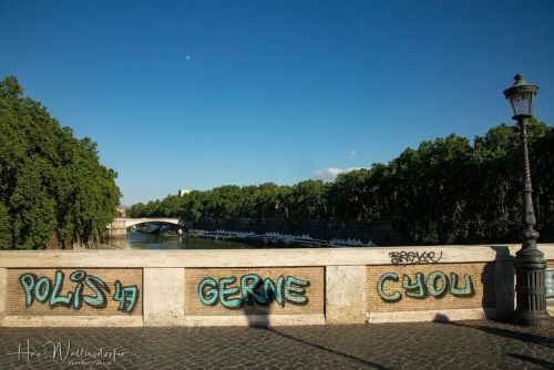 IMG 0908