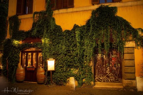 IMG 0984