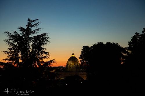 IMG 1527