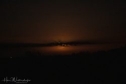 2406-4008