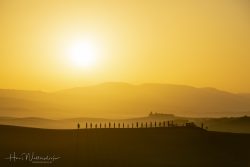 IMG 7672