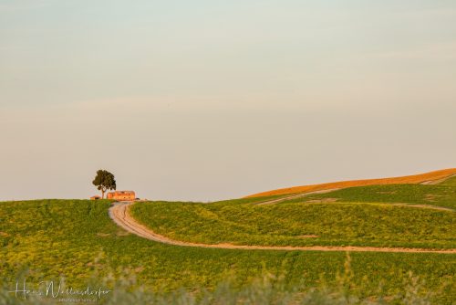 2606-9267