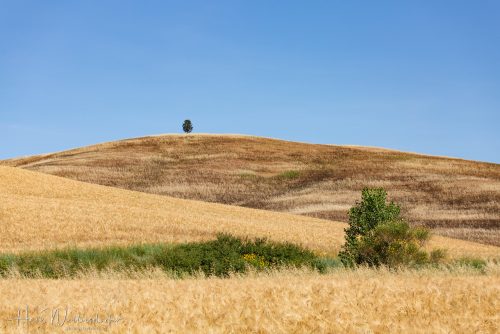 2606-0271