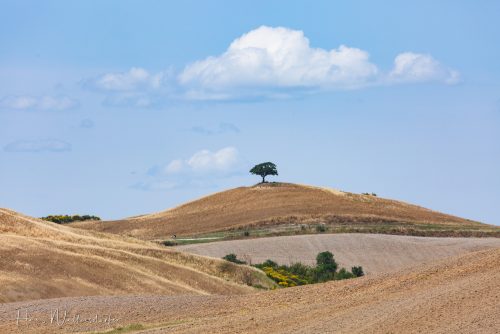 2606-9570