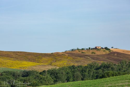 2606-9886