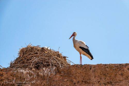 2502-89682502-8968DSC08968